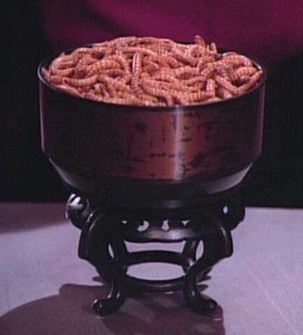 File:Tube Grubs.jpg
