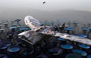 Sky Whale