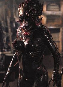 Species2b eve