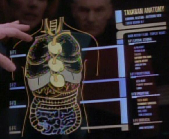 File:Takaran anatomy.jpg