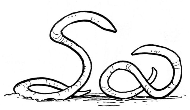 File:Ylesian White Worms.jpg