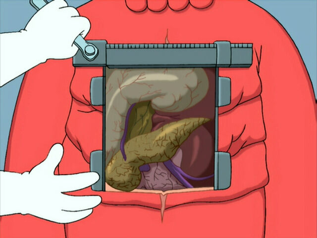 File:Decapodian Organs.jpg