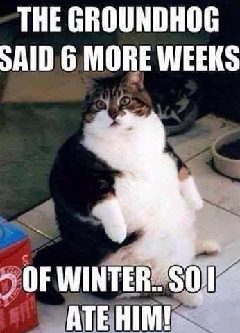 File:Winter gone.png