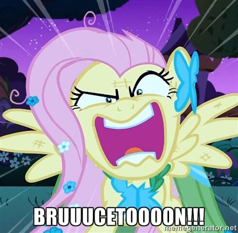 File:Fluttershy BRUUUUUUCETOOOOON.jpg