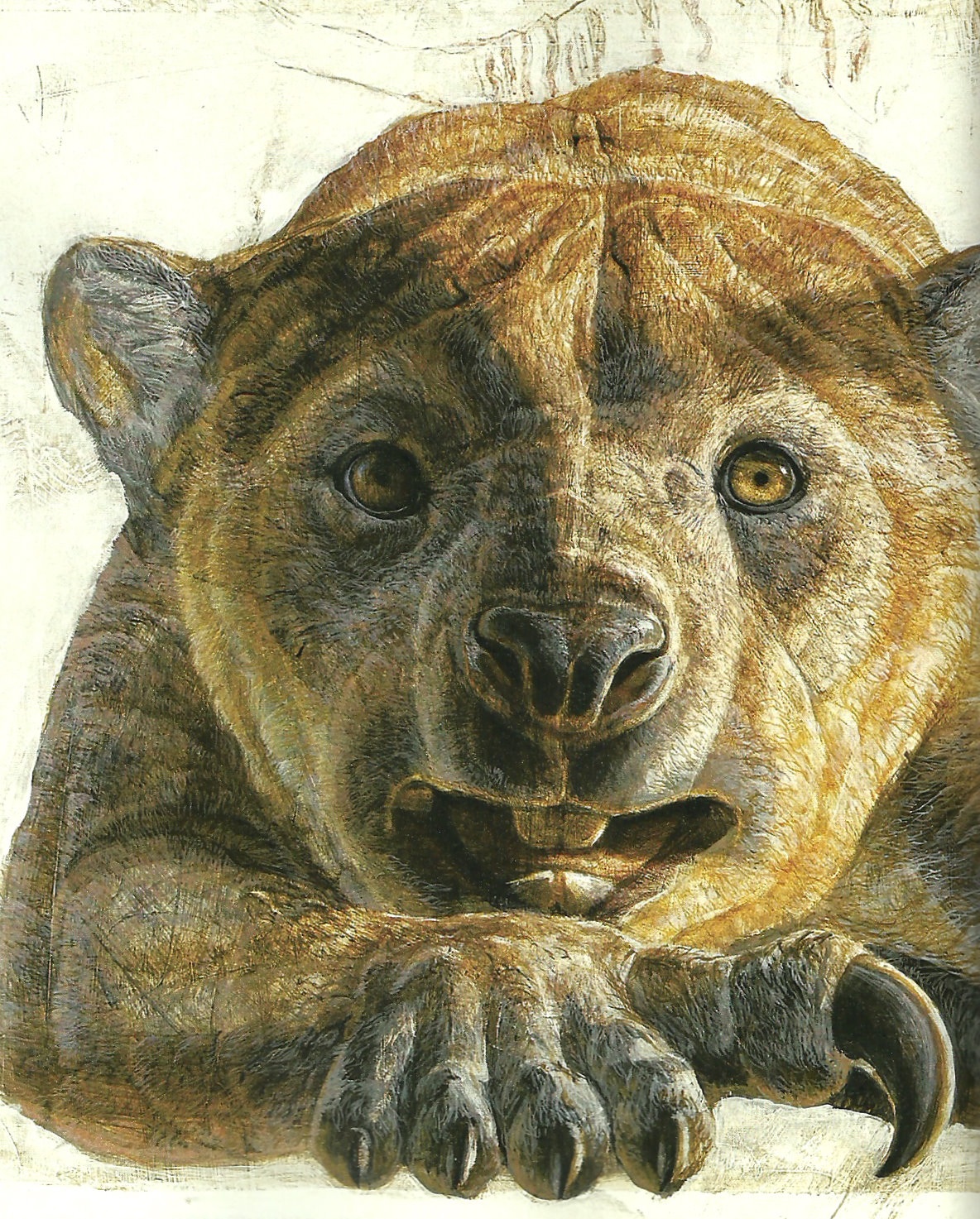 Image Thylacoleo jpg Cryptids and Myths Wiki Fandom 