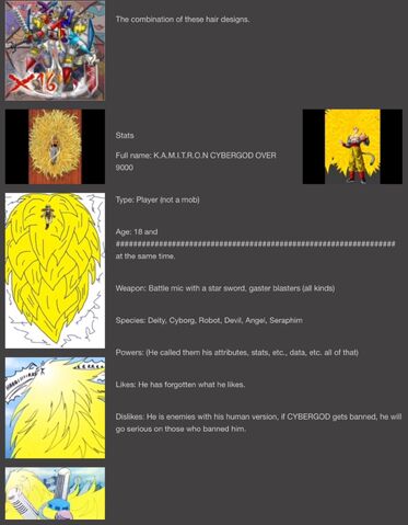 File:More of the info..jpg
