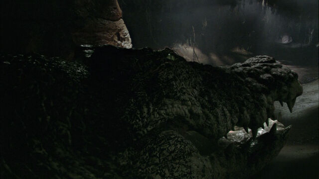 File:Large rogue blu-ray10.jpg