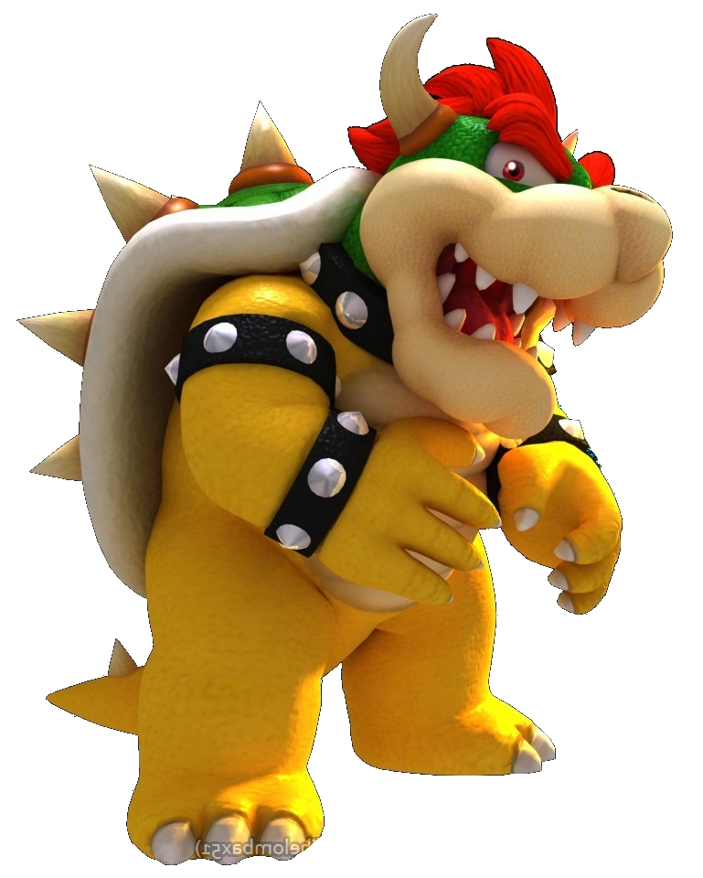 Image Bowser Koopa left render.png All the Koopas Wiki FANDOM powered by Wikia