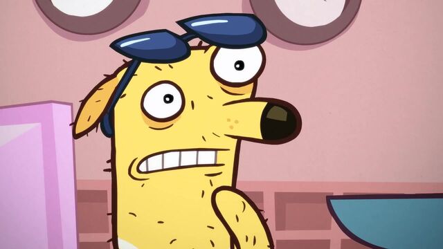 File:Cool Paw Howie (81).jpg