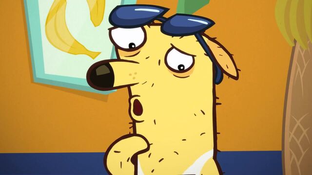File:Cool Paw Howie (64).jpg