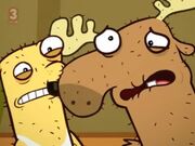 Moose