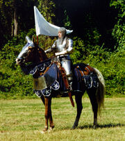 Knight