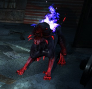 Hell Hound2