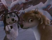 Images-11