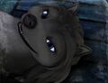 Thumbnail for version as of 07:22, January 18, 2013
