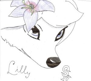 344px-Lilly from alpha and omega by comaxkid-d390uai