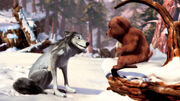 Bear-cub-meets-Humphrey-alpha-and-omega-16370910-1400-788