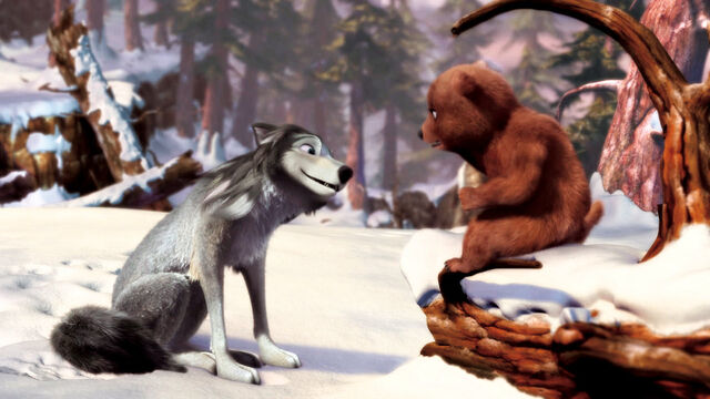 File:Bear-cub-meets-Humphrey-alpha-and-omega-16370910-1400-788.jpg