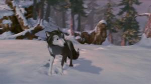File:I wuv snow!.jpg
