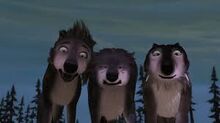 Rogue wolves 2