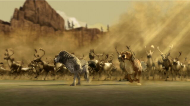 File:Stampede !.jpg