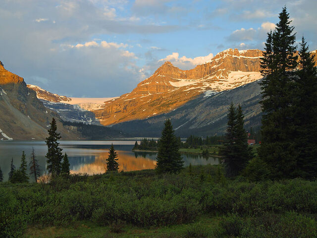 File:Jasper.jpg