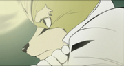 Star Fox Anime