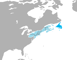 File:Newfoundland Island.png