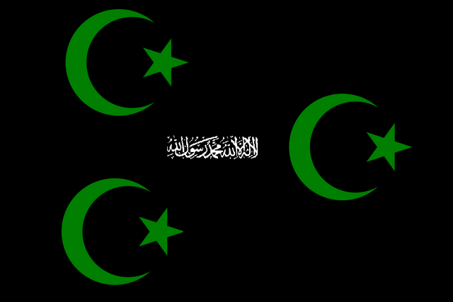 File:Possible UIN flag.png