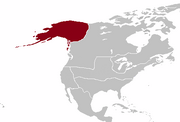 QI 1890 Alyeska