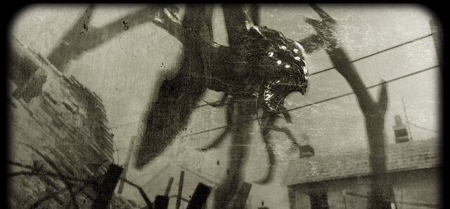 File:Rsz shanxispider.jpg