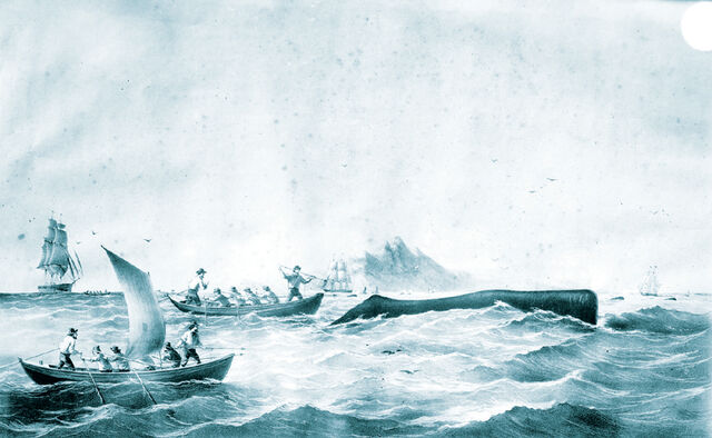 File:Whaling-drawingblue.jpg