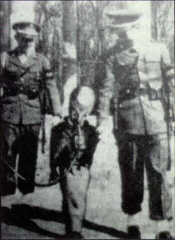 File:Captured-alien.jpg