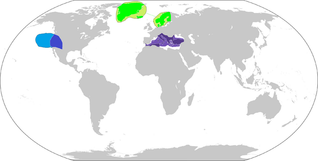 File:Byzantion1.png