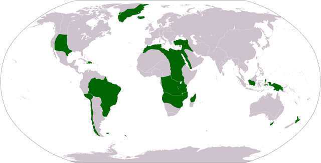 File:Brazilian Allies NAV.png