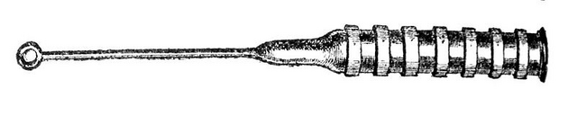 File:Protanibolum pyrobola.png