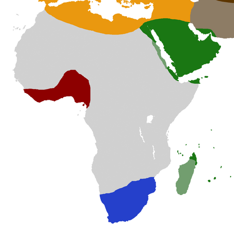 File:NaughtAfrica.png