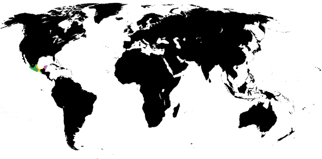 File:AE-1.0-1465.png