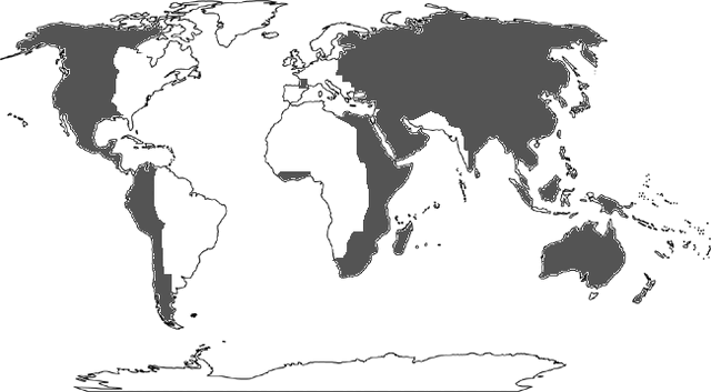 File:Woutline.gif