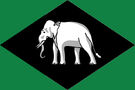 Grina Faction Flag