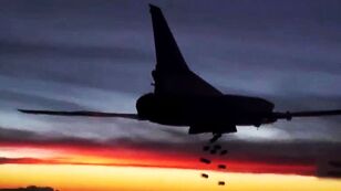 Syr1.jpg