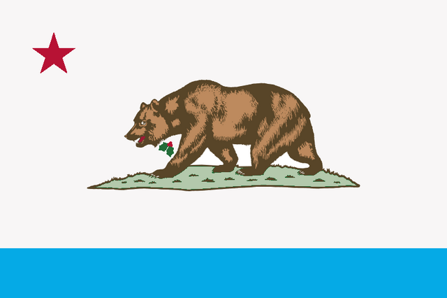 File:Visaliaflag.png