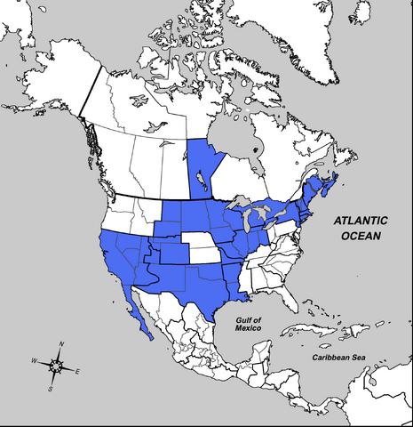 File:SOA-L1.png
