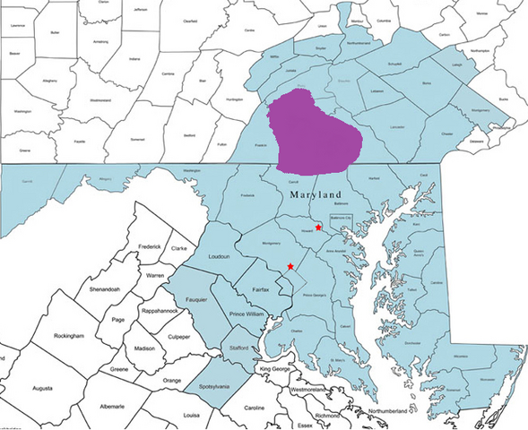 File:Penn3.png
