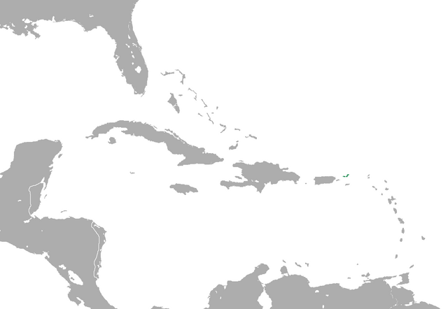 File:CNA virgin islands.png