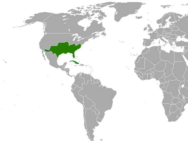 File:CSA map.png