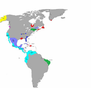 619px-Colonisationmap1603