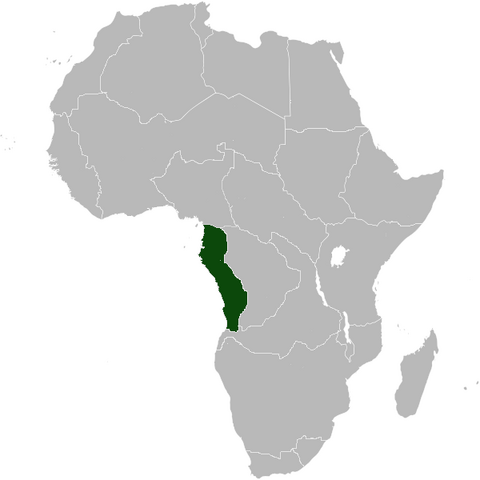 File:NewGermany Africa NW.png