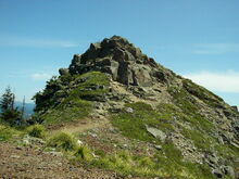 Esilfojur