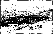 Zpage499